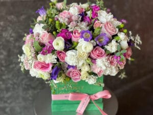 SPRING - LUX BOX